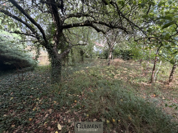 Offres de vente Terrain à batir Gambsheim 67760